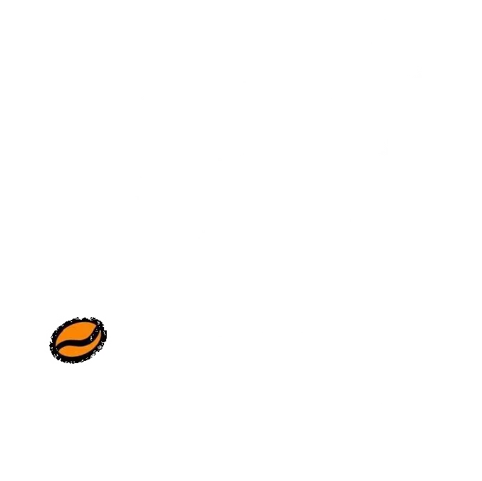Daylight Coffee